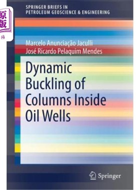 海外直订Dynamic Buckling of Columns Inside Oil Wells 油井内柱的动力屈曲