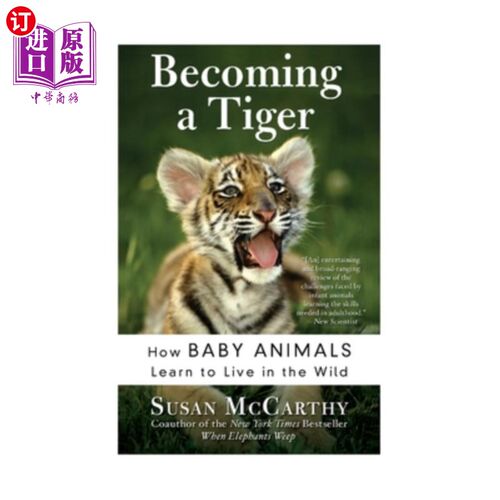 海外直订Becoming a Tiger: How Baby Animals Learn to Live in the Wild 成为一只老虎:小动物如何学会在野外生活