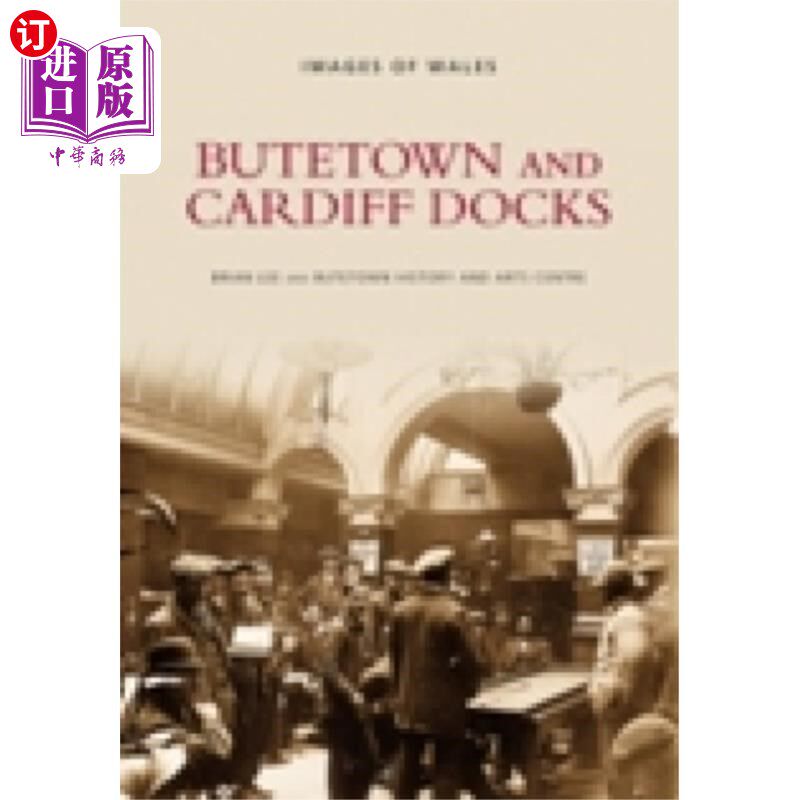 海外直订Butetown and Cardiff Docks 但是镇和卡迪夫码头