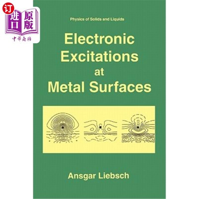 海外直订Electronic Excitations at Metal Surfaces 金属表面的电子激发