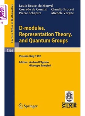 海外直订D-Modules, Representation Theory, and Quantum Groups: Lectures Given at the 2nd  D-Modules,