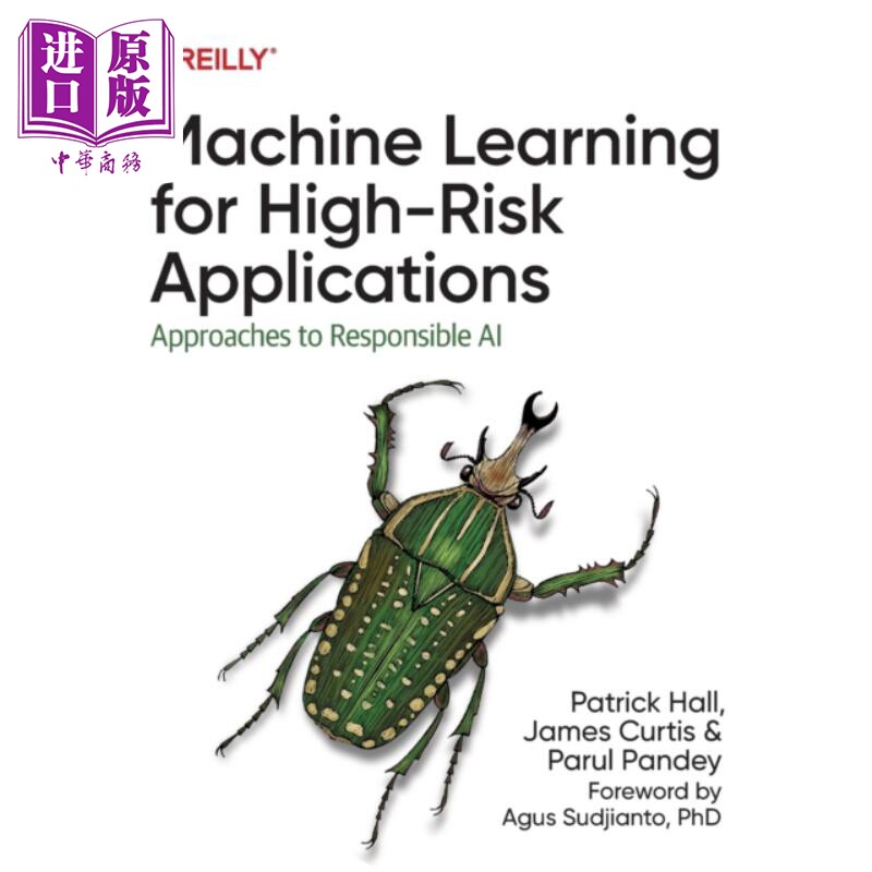 现货 高风险应用的机器学习 负责任的人工智能方法 Learning for High-Risk Applications 英文原版 Patrick Hall【中商原版】