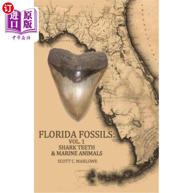 海外直订Florida Fossils: Shark Teeth & Marine Animals 佛罗里达化石：鲨鱼牙齿和海洋动物