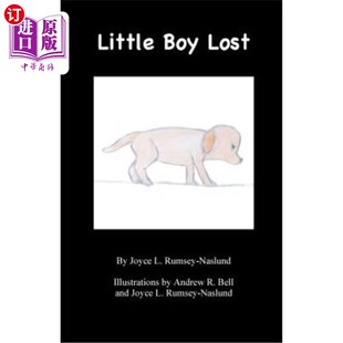 小男孩迷路了 Lost 海外直订Little Boy