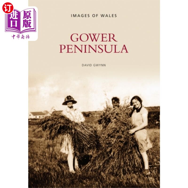 海外直订Gower Peninsula 高尔半岛