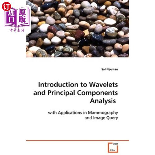 海外直订Introduction to Wavelets and Principal Components Analysis 小波与主成分分析导论
