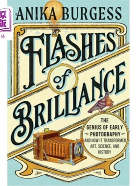 海外直订Flashes of Brilliance: The Genius of Early Photography and How It Transformed Ar 闪光：早期摄影的天才及其如