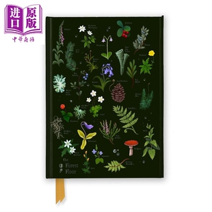 预售 安娜 斯特德 森林地表 烫金手帐 英文原版 Anna Stead The Forest Floor (Foiled Journal) Flame Tree Studio【中商原版】
