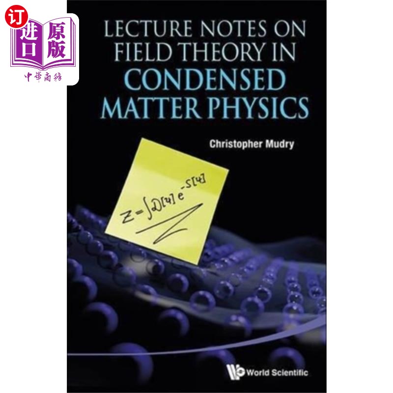 海外直订Lecture Notes on Field Theory in Condensed Matter Physics 凝聚态物理场论讲稿
