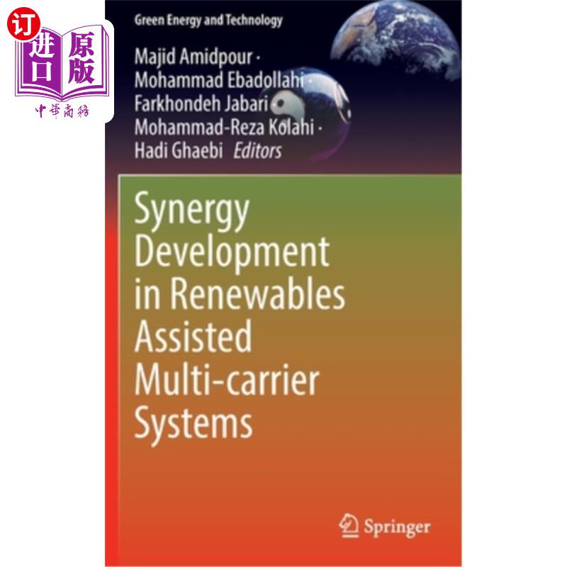 海外直订Synergy Development in Renewables Assisted Multi-Carrier Systems 可再生能源辅助多载波系统的协同发展