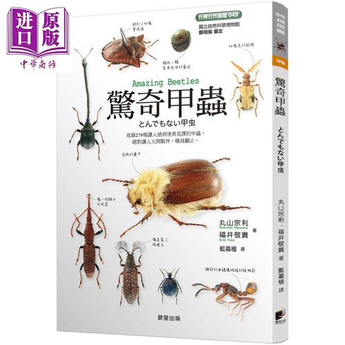 惊奇甲虫 港台原版 丸山宗利 福井敬贵 晨星 昆虫图鉴 昆虫百科科普【中商原版】
