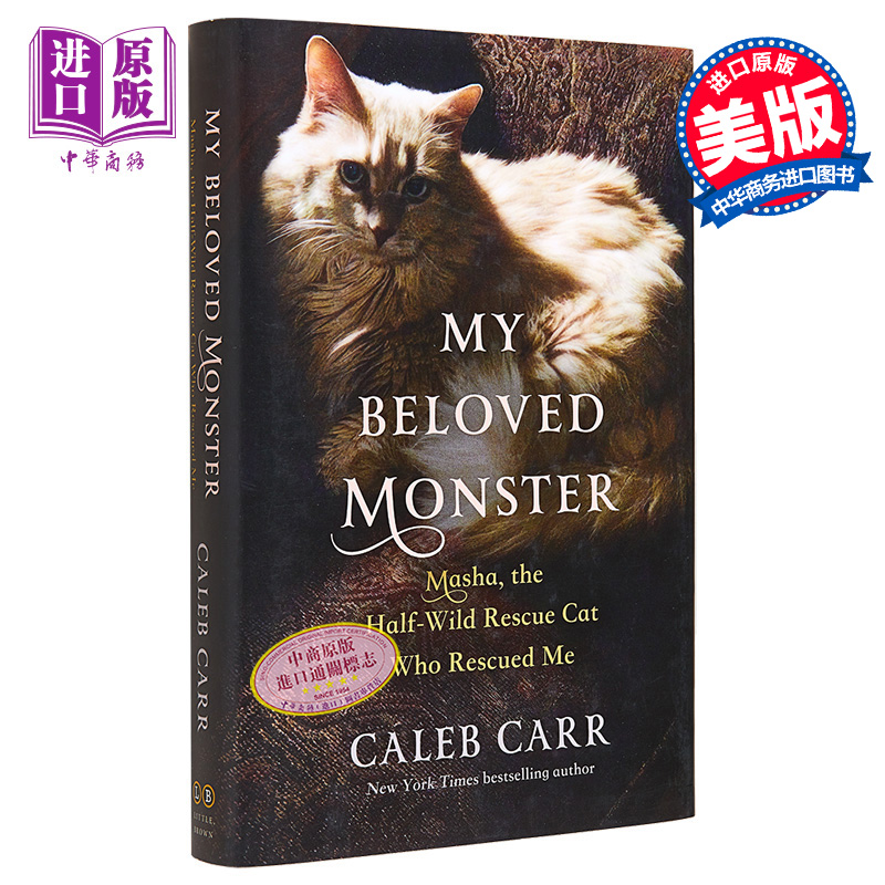 我心爱的小怪兽猫咪宠物