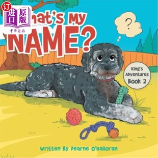 Book 冒险书2 ？：国王 Name是干什么 Adventures King Name? 海外直订What