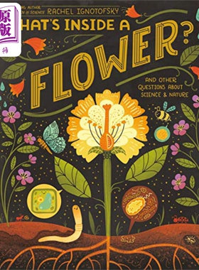 预售 What's Inside A Flower？  花儿里的东西 英文原版 进口原版 4岁到8岁 精装 儿童科普图画书 Rachel Ignotofsky【中商原版】