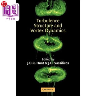 湍流结构与涡旋动力学 and Dynamics Vortex 海外直订Turbulence Structure