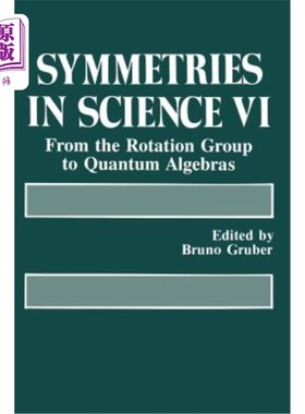 海外直订Symmetries in Science VI: From the Rotation Group to Quantum Algebras 科学中的对称性VI:从旋转群到量子代数