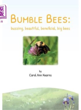 海外直订Bumble Bees: Buzzing, Beautiful, Beneficial, Big Bees 大黄蜂：嗡嗡作响，美丽，有益，大蜜蜂