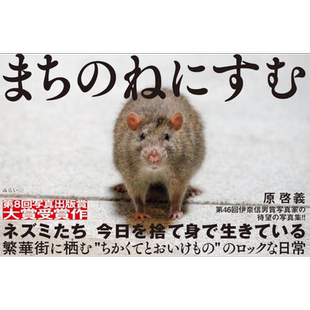 野鼠预警 原启义老鼠摄影作品集 第8届日本写真出版奖大奖 日文原版 写真集 まちのねにすむ 原啓義【中商原版】