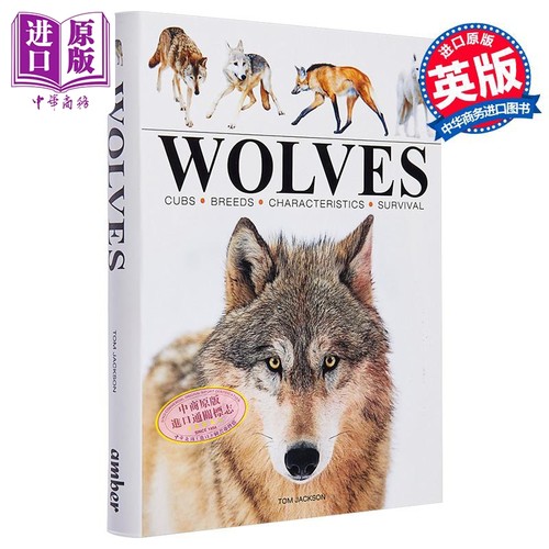 迷你百科系列狼动物