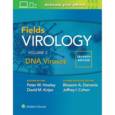 现货 费氏病毒学 DNA病毒 第7版 英文原版 Fields Virology DNA Viruses【中商原版】