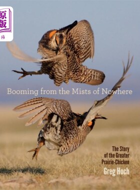 海外直订Booming from the Mists of Nowhere 从虚无的迷雾中呼啸而来