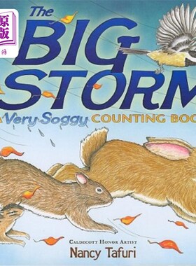 海外直订The Big Storm: A Very Soggy Counting Book 《大风暴:一本潮湿的计数书》