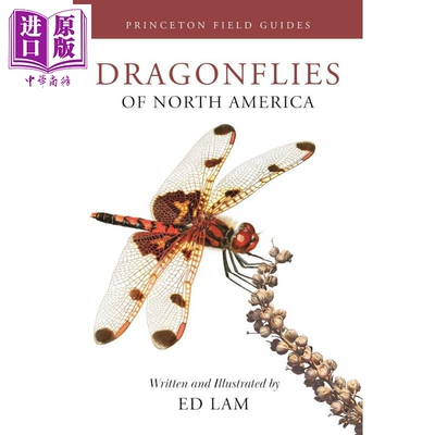 预售 普林斯顿田野指南 北美龙飞蝶全书 Dragonflies of North America 英文原版 Ed Lam 识别雄性和雌性蜻蜓【中商原版】