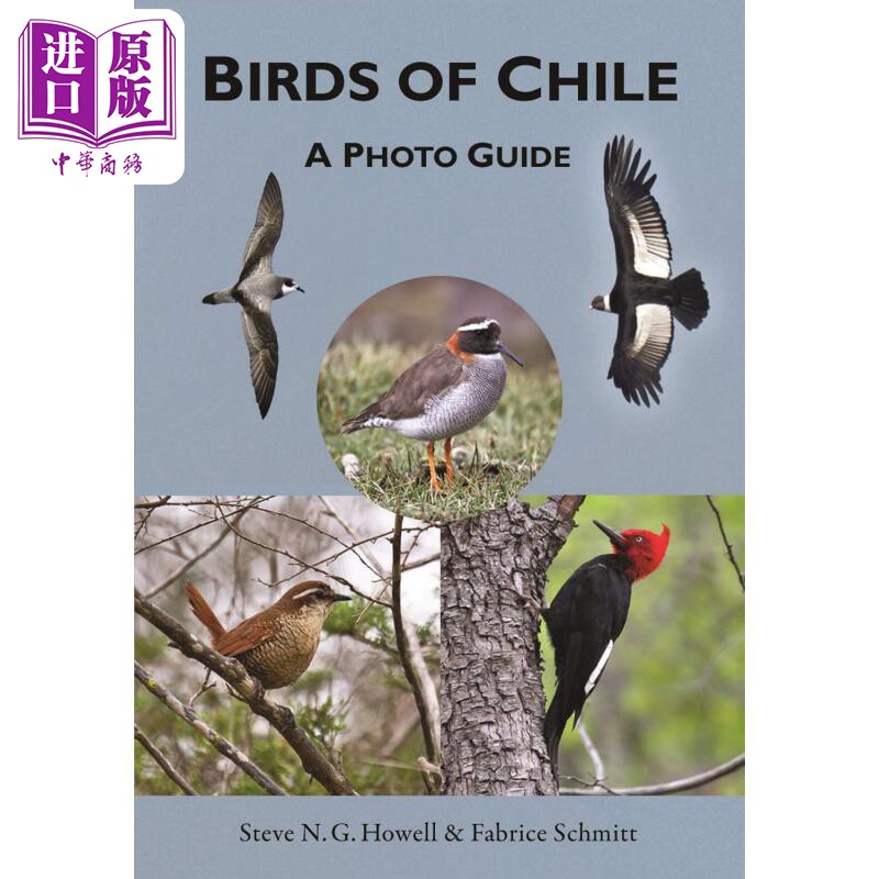 预售 智利的鸟类 照片指南 Birds of Chile A Photo Guide 英文原版 Steve N G Howell Fabrice Schmitt【中商原版】
