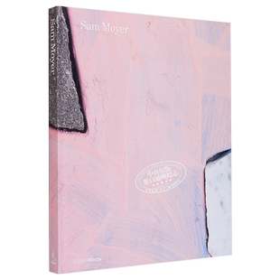 美国装置艺术家Sam Moyer Sam Moyer 进口艺术 山姆莫耶 Rizzoli【中商原版】