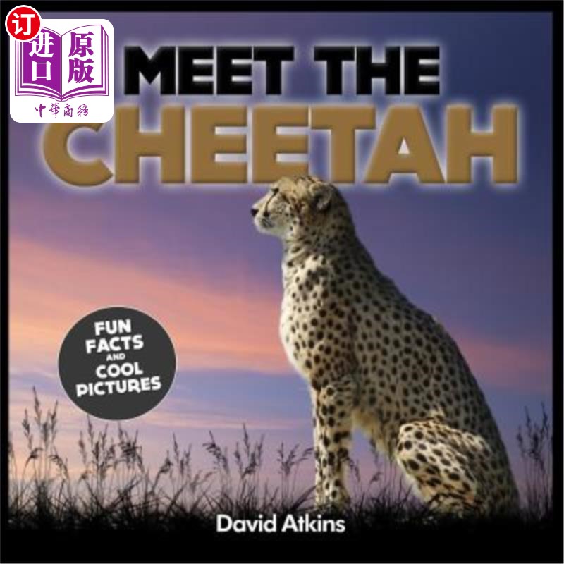 海外直订Meet The Cheetah: Fun Facts & Cool Pictures 遇见猎豹：有趣的事实和酷的图片
