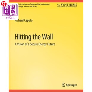 海外直订Hitting 愿景 撞墙 安全能源未来 Secure Wall Energy Future the Vision