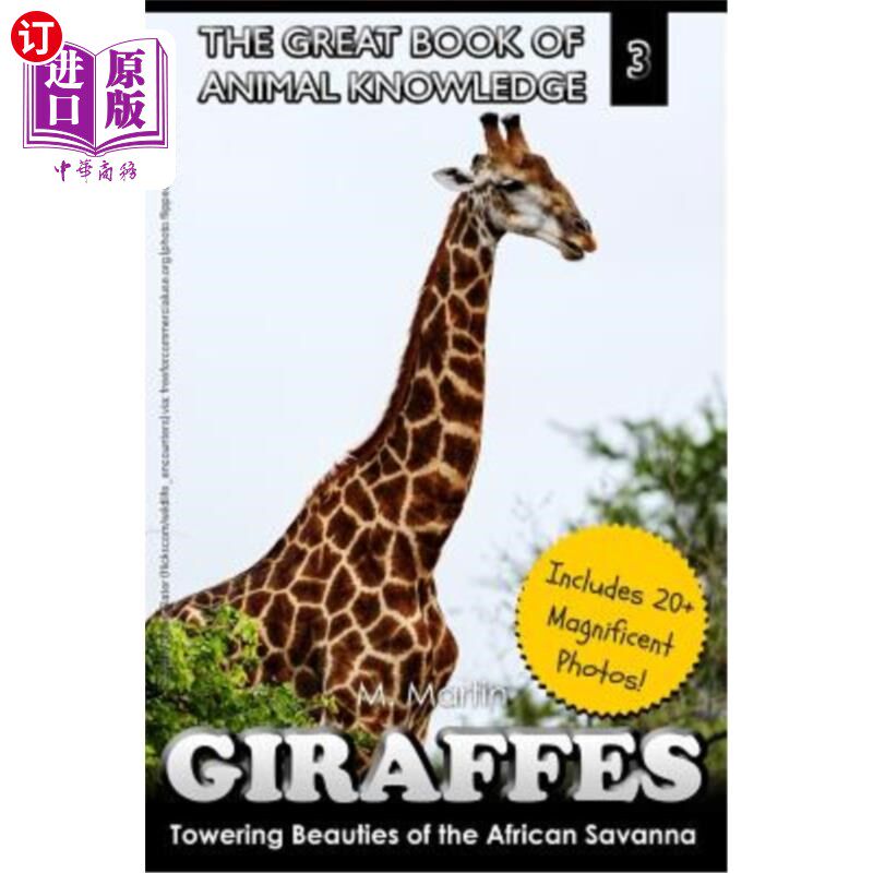 海外直订Giraffes: Towering Beauty of the African Savanna 长颈鹿：非洲大草原上的高耸之美