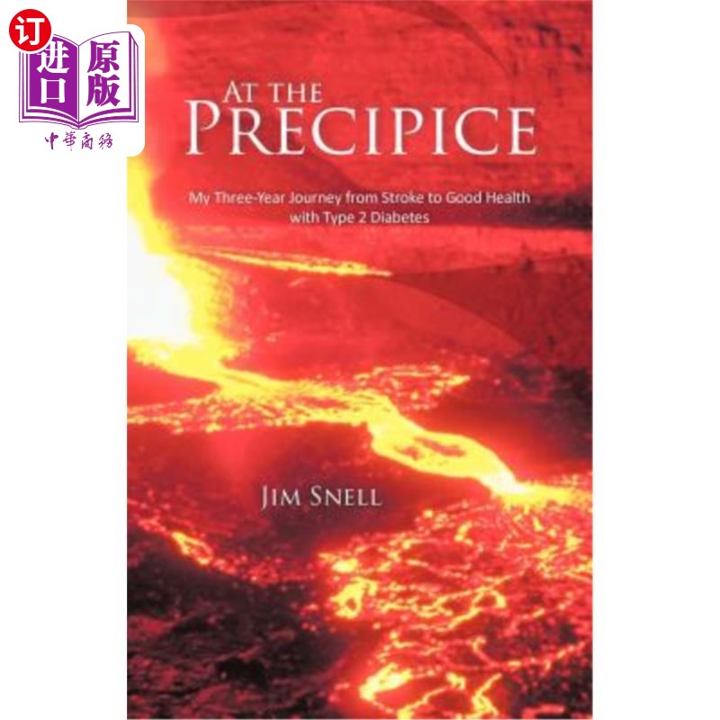 海外直订医药图书At the Precipice: My Three-Year Journey from Stroke to Good Health with Type 2 D 在悬崖边：我从中风