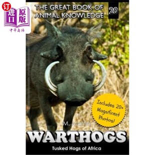 Africa 疣猪 海外直订Warthogs 有牙 Hogs 产于非洲 猪 Tusked