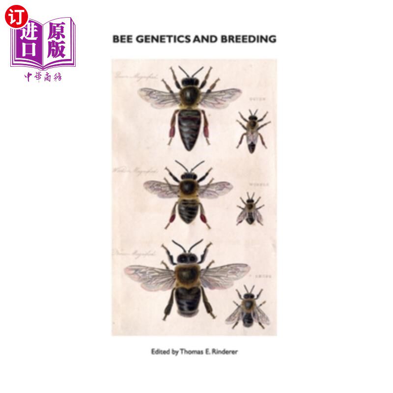 海外直订Bee Genetics and Breeding 蜜蜂遗传学与育种