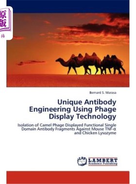 海外直订医药图书Unique Antibody Engineering Using Phage Display Technology 利用噬菌体展示技术构建独特的抗体工程