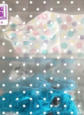 海外直订Liz Magor: BLOWOUT 利兹·马格尔:爆裂