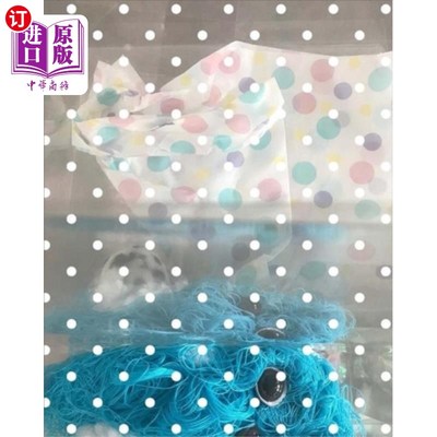 海外直订Liz Magor: BLOWOUT 利兹·马格尔:爆裂