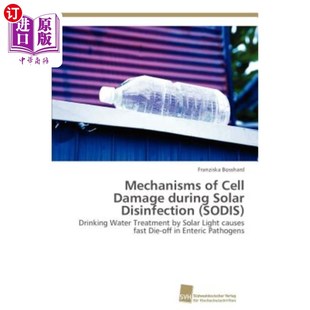 Damage during Solar 海外直订Mechanisms SODIS Cell Disinfection