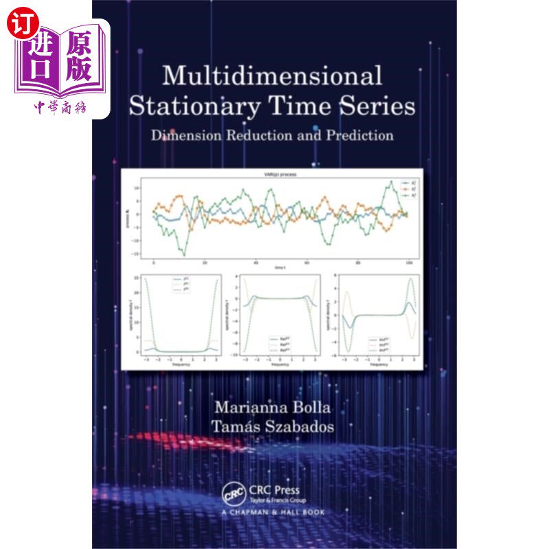 海外直订Multidimensional Stationary Time Series 多维平稳时间序列