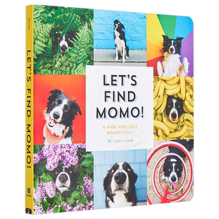 英文原版 狗狗及其他宠物主题图书合集 故事绘本纸板书 Lets Find Momo 寻找莫莫 Matthew Van Fleet Dog Pick a Pet【中商原版】