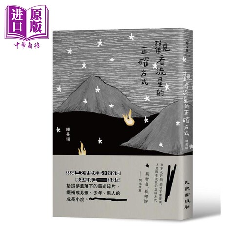 观看流星的正确方式 港台原版 钟旻瑞 九歌 文学小说【中商原版】