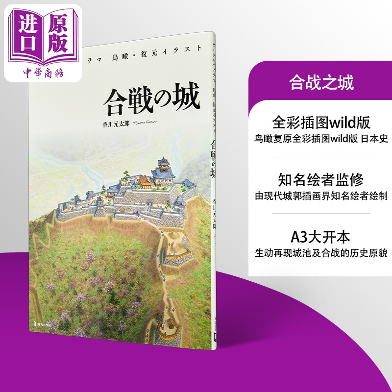 合战之城鸟瞰复原全彩插图wild