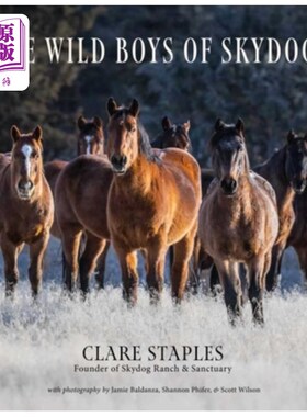 海外直订The Wild Boys of Skydog Skydog的狂野男孩