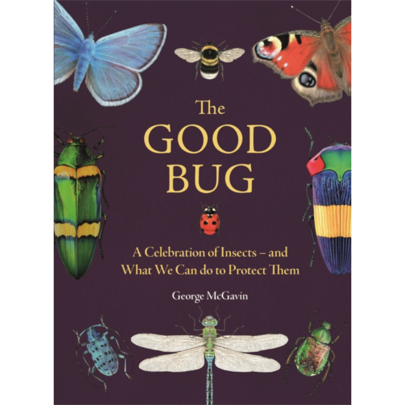 昆虫学家 乔治麦加文 好虫子 昆虫的庆典 The Good Bug A Celebration of Insects 英文原版 George McGavin 百科【中商原版?