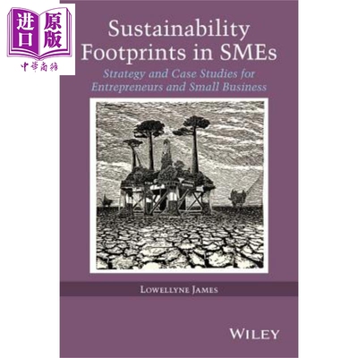 中小企业的可持续发展足迹 企业家和小企业的战略案例研究 Sustainability Footprints in SMEs 英文原版 Lowellyne James Wi