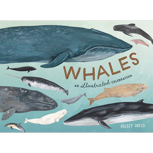 鲸鱼 图解庆典 Kelsey Oseid 英文原版 Whales  An Illustrated Celebration【中商原版】