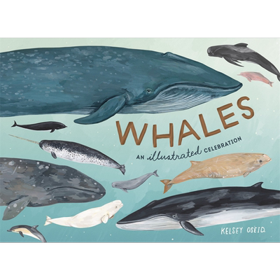 预售 鲸鱼 图解庆典 Kelsey Oseid 英文原版 Whales  An Illustrated Celebration【中商原版】