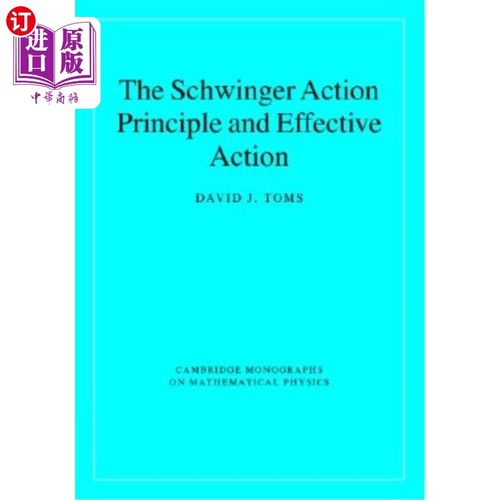 海外直订The Schwinger Action Principle and Effective Action 施翁格行动原则与有效行动