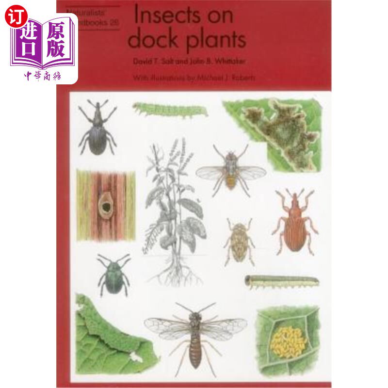 海外直订Insects on Dock Plants 码头植物上的昆虫